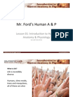 Mr. Ford'S Human A & P: Lesson 01: Introduc:on To Human Anatomy & Physiology