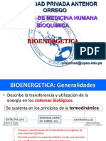 Bio Energetic A