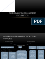 Planos Anatomicos, Sistema Esqueletico y Cartilagos