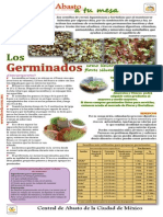 Central de Abastos Germinados