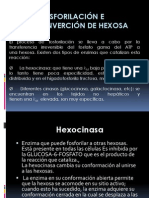 Fosforilación e Interconverción de Hexosa