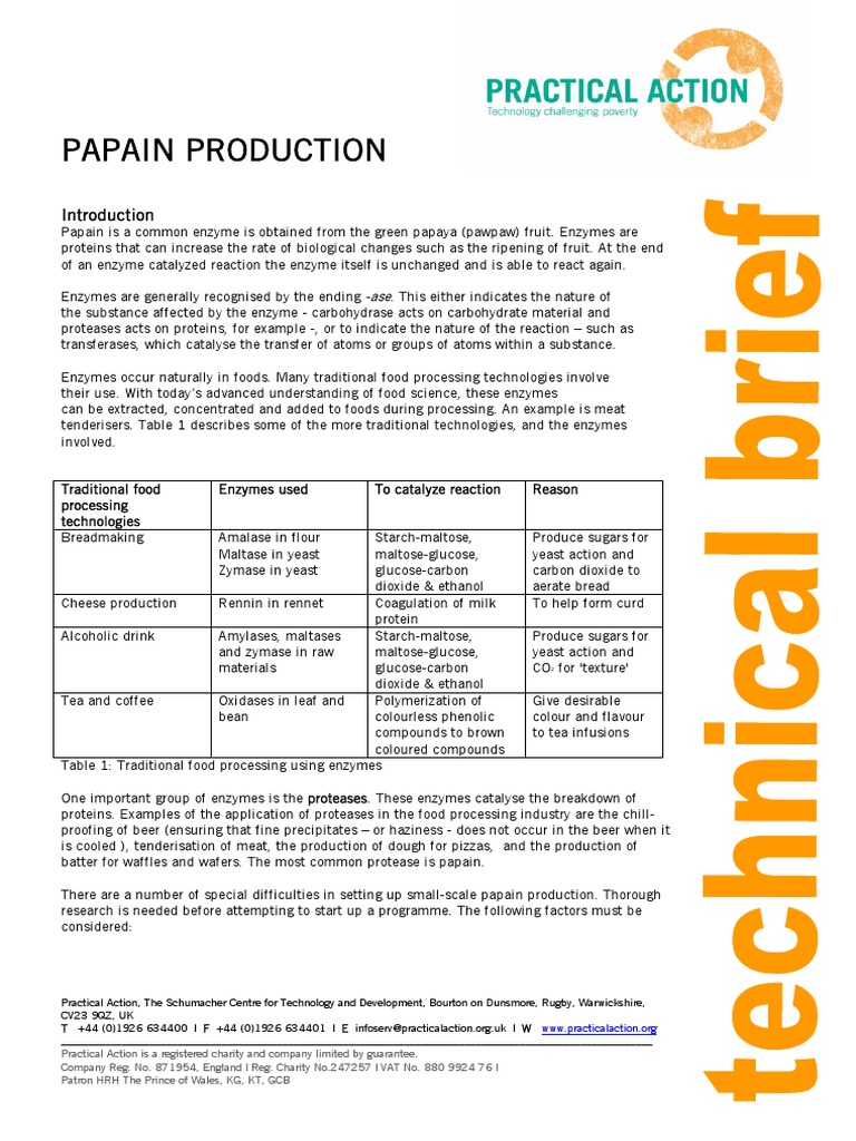Papain Enzyme Spectrophotometry Chemistry