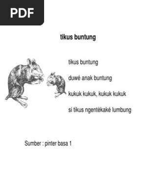 Tikus Buntung