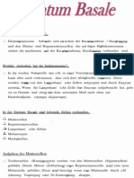 Stratum basale.pdf