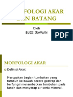 MORFOLOGI AKAR DAN BATANG