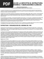 Download VIRUS DE LA HEPATITIS B - Marcadores Serolgicos by Xi-Omara SN23895691 doc pdf