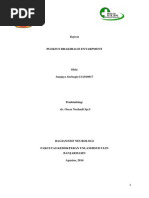 Download 200851927 Cedera Pleksus Brakhialis by Sanjaya Soebagio SN238957412 doc pdf