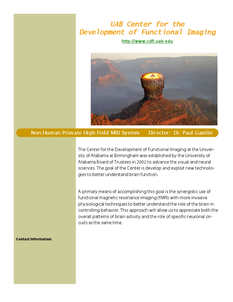 CFDI Brochure | PDF
