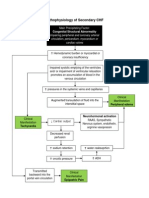 Pathophysiology of Secondary CHF