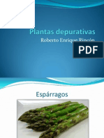 Roberto Enrique Rincón, plantas depurativas.pptx