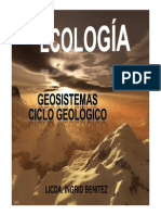 Clase 12 Ciclo Geologico