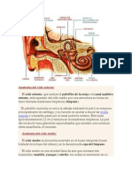 Anatomía Del Oido