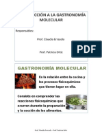 Taller Introduccion A La Gastronomia Molecular