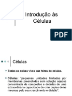 Células