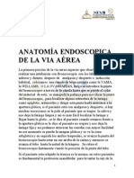 Anatomia Endoscopica de La VA Lo Que Un Anestesiologo Debe Conocer