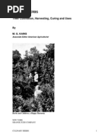 Download Culinary Herbs Their Cultivation Harvesting Curing and Uses by Kains M G by Gutenbergorg SN2390089 doc pdf