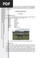 Download BAB II Tinjauan Pustaka by PangeranAndareasPanggabean SN239010514 doc pdf
