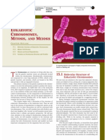 15 Eukaryotic Chromosomes Mitosis and Meiosis
