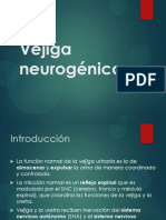 Vejiga Neurogénica SEMINARIO Grup