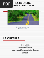 Cultura Organizacional