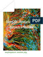 Stem Cells: Introduction and Prospects in Medicine