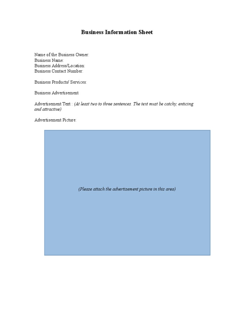 Business Information Sheet | PDF