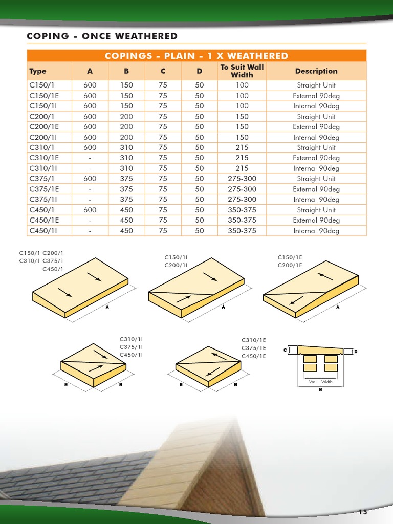 Architectural Coping Options | PDF | Computers