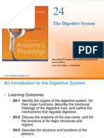 The Digestive System: Powerpoint Lecture Presentations Prepared by Jason Lapres