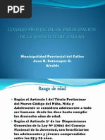 Consejo Provincial de Participacion de La Juventud Del