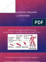 Sistema Nervioso Funciones y Estructuras