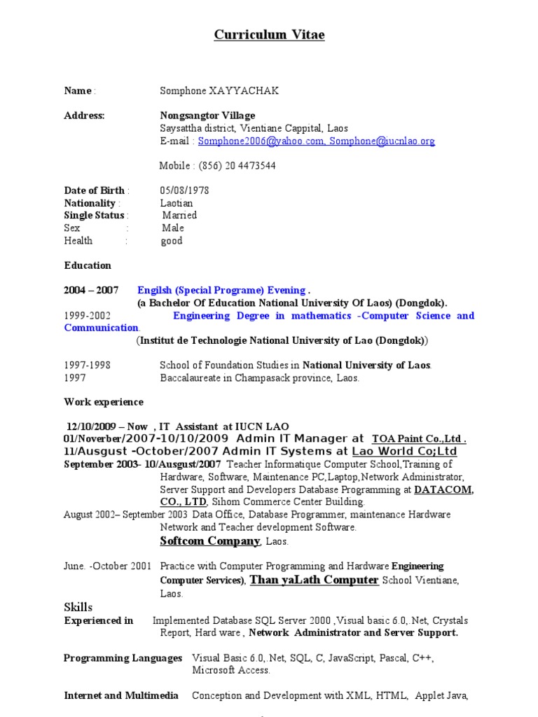 Curriculum vitae programmer picture