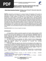 Monitoramento Clínico de Um Filhote de Cão Com