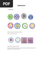 Geobiologia - Fabian1