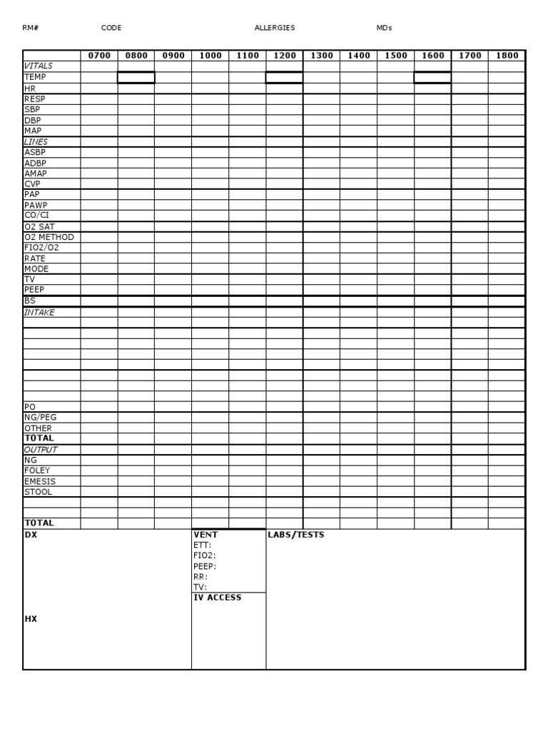 ICU Vitals Log Sheet Template | PDF | Computers