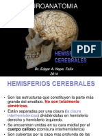 5-1 Hemisferios Cerebrales 2014-I