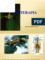 Teoria 4_ - Fitoterapia