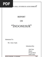 Download Complete Report on Indonesia by Atul Jain SN23910199 doc pdf