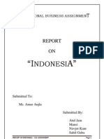 Complete Report On Indonesia