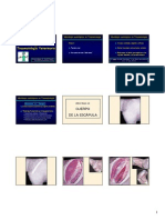 Abordajes Quirúrgicos en Traumatología Veterinaria - Carlos López & Jordi Franch - SLIDES