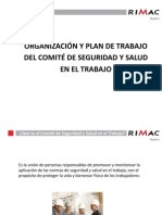 Comite Paritario Funciones Responsabilidades y Trascendencia