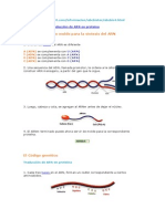 Biologia Tema