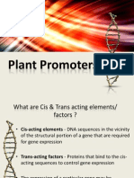 Plant Promoters
