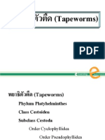 Animal Parasitology