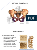 Diskusi-Tinjauan Pustaka Osteoporosis