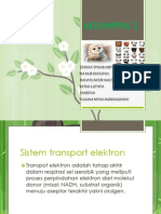 Transport Elektron 
