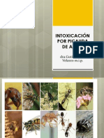 Intoxicación Por Picadura de Abeja