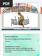 Download Sistem Koordinasi Dan Alat Indera Pada Manusia by Heppi Fitri SN239161780 doc pdf