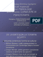 Psihoterapia Sistemic-Strategica