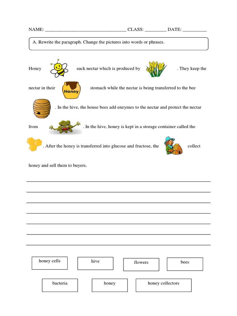 Writing Worksheet | PDF | Language Arts & Discipline