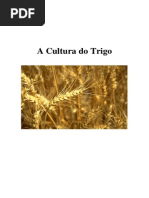 65879167 a Cultura Do Trigo